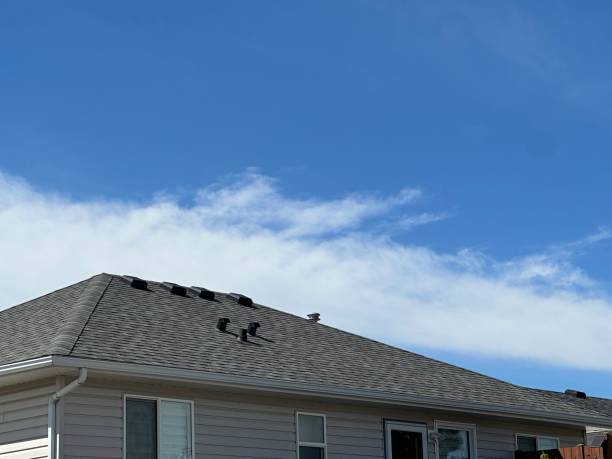 Best Asphalt Shingles Roofing  in Lodi, CA